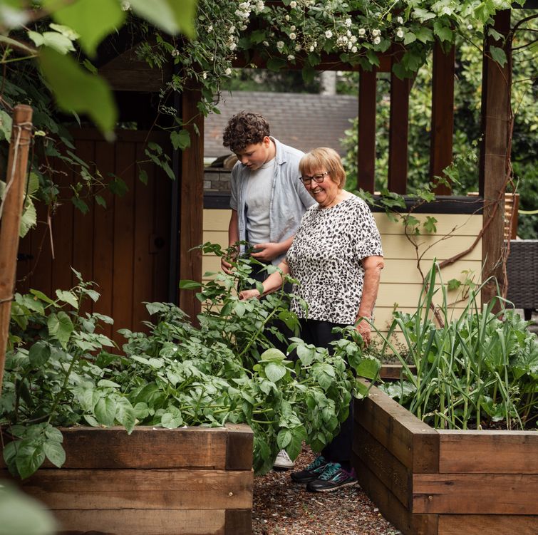 Back Add